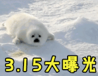 315国际消费者权益日