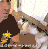 搞笑 汪星人 狗狗 可爱 萌宠