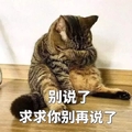 萌星人 可爱 小猫 搞笑 别说了求求你别再说了