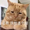 萌宠 猫星人 老板 我想请个假 呆萌 可爱
