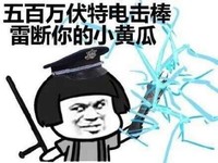 五百万伏特电击棒，雷断你的小黄瓜,  电棍   警察   恶搞