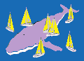 比特币 动画 漂浮 鲸鱼
