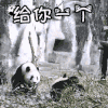 熊猫 可爱 白色 黑色