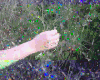 故障艺术 glitch 花屏 彩色