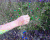 故障艺术 glitch 花屏 彩色