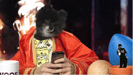 狗狗 玩手机 跳舞 搞笑