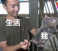 竹鼠 华农兄弟