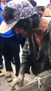 街头 象棋 搞笑 雷人
