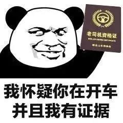 暴漫 熊猫头 我怀疑你在开车 而且我有证据 搞怪 逗