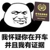 暴漫 熊猫头 我怀疑你在开车 而且我有证据 搞怪 逗