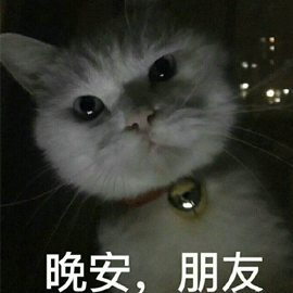 晚安 朋友 貓