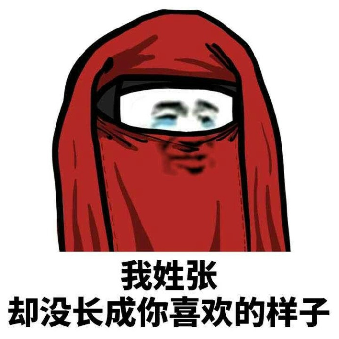 暴漫 熊猫头 我姓张 却没长成你喜欢的样子 搞怪 逗