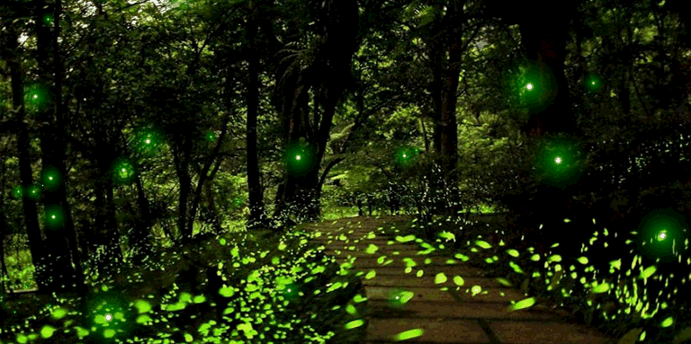 绿茵 树 荧火虫 晚上
