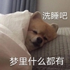 萌宠 喵星人 洗睡吧 梦里什么都有 呆萌 搞怪