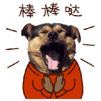 萌宠 小狗 棒棒哒 可爱 鼓掌
