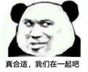 暴漫 熊猫头 真合适 我们在一起吧 开心 搞怪 逗