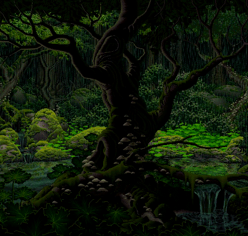森林 雨 绿 热带雨林 forest