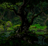 森林 雨 绿 热带雨林 forest
