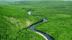 九曲十八弯 河 漠河县 纪录片 航拍中国 草地 蜿蜒 黑龙江