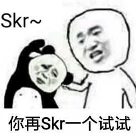 skr 熊猫头 试试