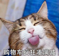萌宠 可爱 喵星人 买买买 双11