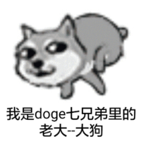 我是doge 七兄弟里的 老大 大狗