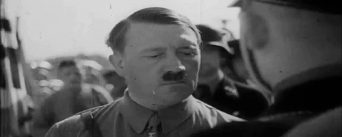 希特勒 二战 历史 检查 注视