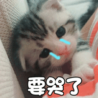 猫 萌宠 喵星人 要哭了 伤心 soogif soogif出品