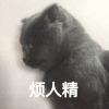 萌宠 喵星人 烦人精 嫌弃 呆萌 可爱