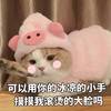 萌宠 喵星人 可以用你冰凉的小手 摸摸我滚烫的大脸 呆萌 可爱