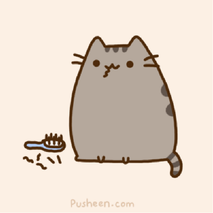动漫 猫咪 可爱 吃饭