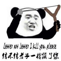 熊猫头 一枪蹦了你 弹弓 斗图 搞笑 猥琐