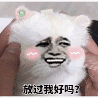 小猫 放过我好吗 斗图