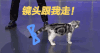 逗比 猫 左右 镜头