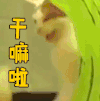 soogif soogif出品 干嘛啦