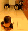 萌娃 狗狗 二哈 学习