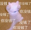 萌宠 猫星人 我没钱了 不想听 呆萌 搞怪