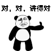 熊猫头 搞笑 雷人 斗图 对对 讲的对