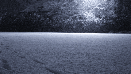 下雪 小雪 树挂 灯光