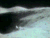 月亮 moon 陨坑 地形 地表