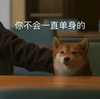 萌宠 汪星人 你不会一直单身的 安慰 呆萌 可爱