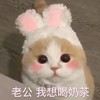 萌宠 猫星人 老公 我想喝奶茶 呆萌 可爱