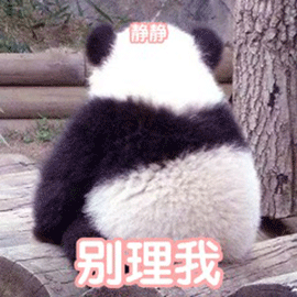 大熊猫 别理我 生气 拒绝