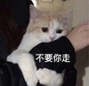 暴漫 熊猫头 不要你走 抱着不放 搞怪 呆萌
