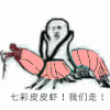 金馆长 皮皮虾 闪亮 恶搞