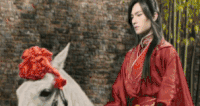 杨洋 骑马 帅气 明星