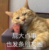 萌宠 猫星人 屁大点事 也发条朋友圈 呆萌 可爱