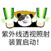 金馆长 熊猫 咧嘴 发光 紫外线透视 照射装置启动