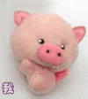 小猪 玩具 犯晕 晕倒
