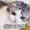萌宠 猫星人 我没有兴趣 难受 搞怪 逗